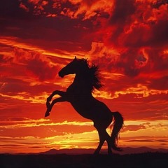 "RED SKY" - ...a journey