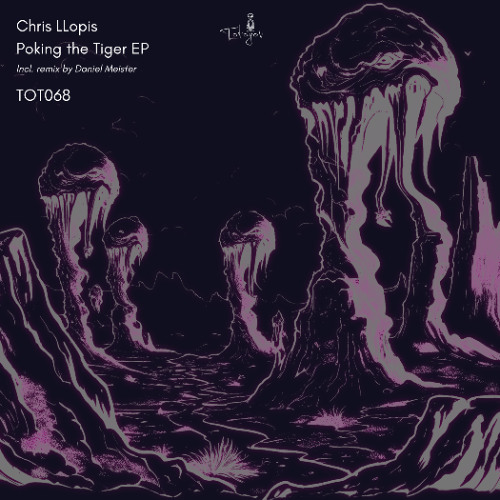 TOT068 - Chris Llopis - Poking The Tiger (Daniel Meister Remix)