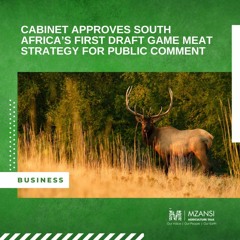 Cabinet Approves South Africa’s First Draft Game Meat Strategy For Public Comment