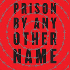 [VIEW] EPUB 📦 Prison by Any Other Name: The Harmful Consequences of Popular Reforms