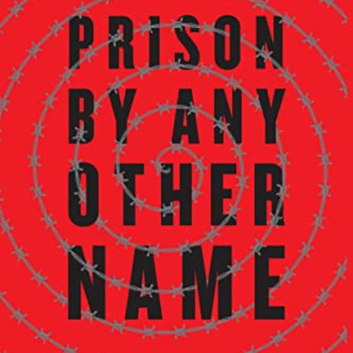 [Access] KINDLE 💞 Prison by Any Other Name: The Harmful Consequences of Popular Refo