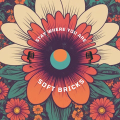 Stay Where You Are