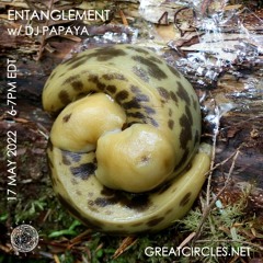 Entanglement w/ DJ Papaya - 17MAY2022
