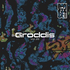 Radio Danziger Vol. 25 by Groddis (Live from Krux Brouwwerf, 12/07/2025)