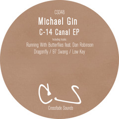Michael Gin & Dan Robinson - Running With Butterflies (Original Mix)