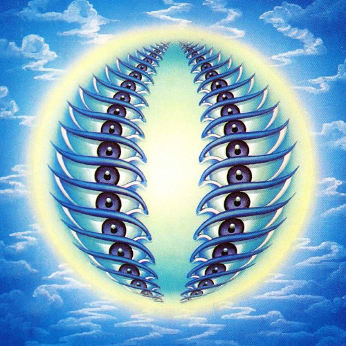 dmt1