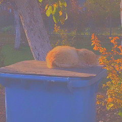 А мы любили