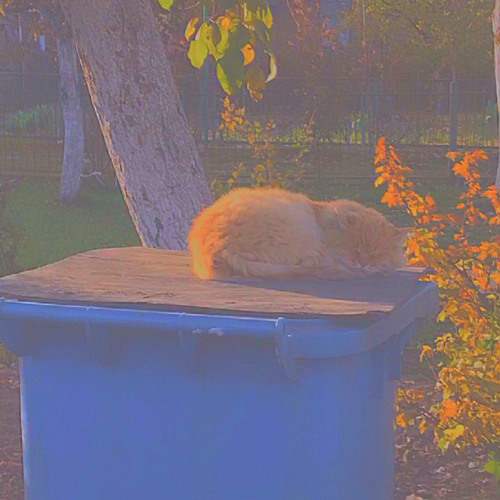 А мы любили