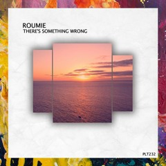PREMIERE: Roumie — Bird In A Cage (Extended Mix) [Polyptych]