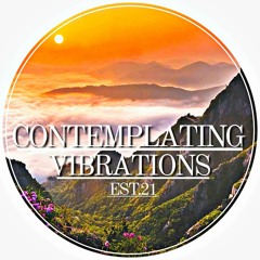 Contemplating Vibrations [#11] Paranoid SouL