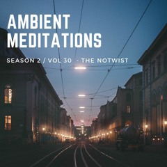 Ambient Meditations Vol 30 - The Notwist
