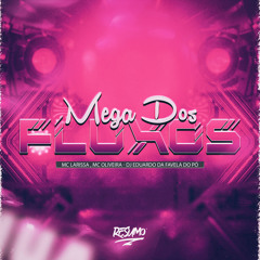 MEGA DOS FLUXOS