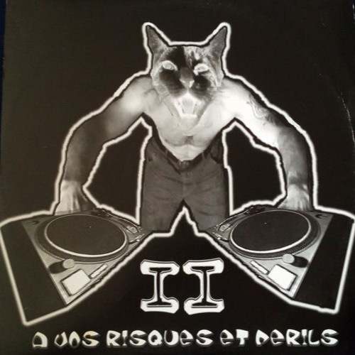 HERETIK (Nout) À Vos Risques Et Périls [Chapitre 2] -Face A- All Cats Are Grey