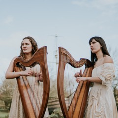 Ave Maria - Harp Cover