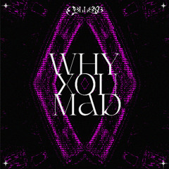Y U MAD ?