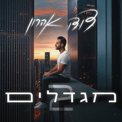 דודו אהרון - מגדלים 2