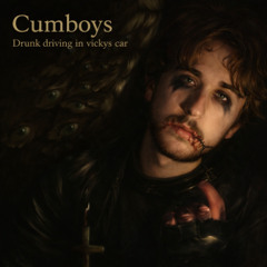 Drunk Driving Vickys Car