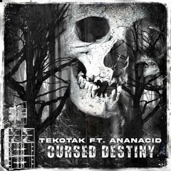 Ananacid & Tekotak -  Cursed Destiny