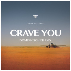 Flight Facilities - Crave You (Dominik Schiek RMX)