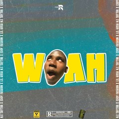 N.E  Taytor, Eddy Fashion & Lil Hush - Woah (Topo Do Game Remix).mp3