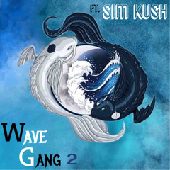 Wave Gang 2 feat. SimKush(Prod. YoungA$tro)
