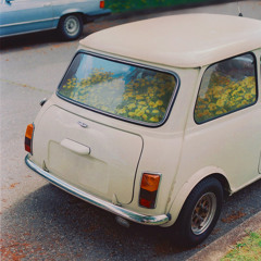 Ford Wedding