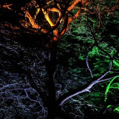Canopy (w Nuver)