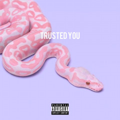 Trusted You (feat. Switcher)