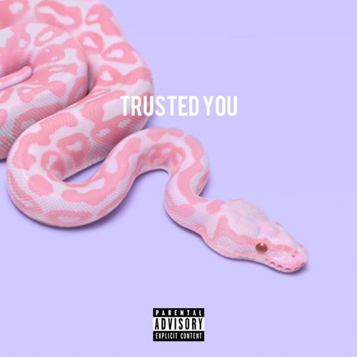 Trusted You (feat. Switcher)
