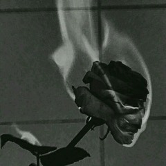 OVER [1DAY/1SONG Version] - DAY THREE