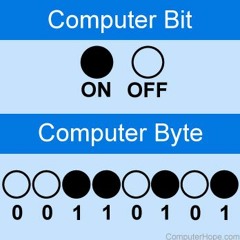 Bitz