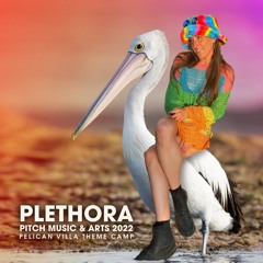 Plethora | Pitch Music & Arts Festival 2022 | Pelican Villa Friday 4:30PM