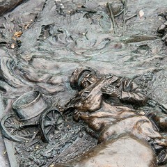 ملاحظات مضادة للتفوق البشري