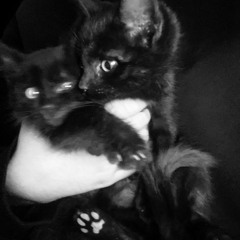 By My Side (feat. YZLJUGG)