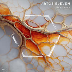 Artos Eleven - Plane Illusion (asleep version) [Melifera Records]
