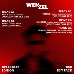 Senorita (Wenzel & BB Z BKB Edit)