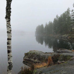 *free for profit* "r3l4x" Icytwat x Lordfubu x Melodic x Dark type beat (prod. Jordan Band$)