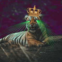 Tiger Kinggg(Free Download)