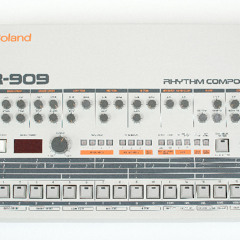 Makro MF 303 Trax 006