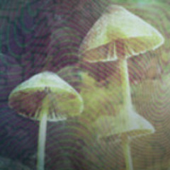 V:Code - ONE HOUR Ambient track, my researches on sound