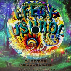 Efect mushroom - Todos los sonidos del universo - 150bpm