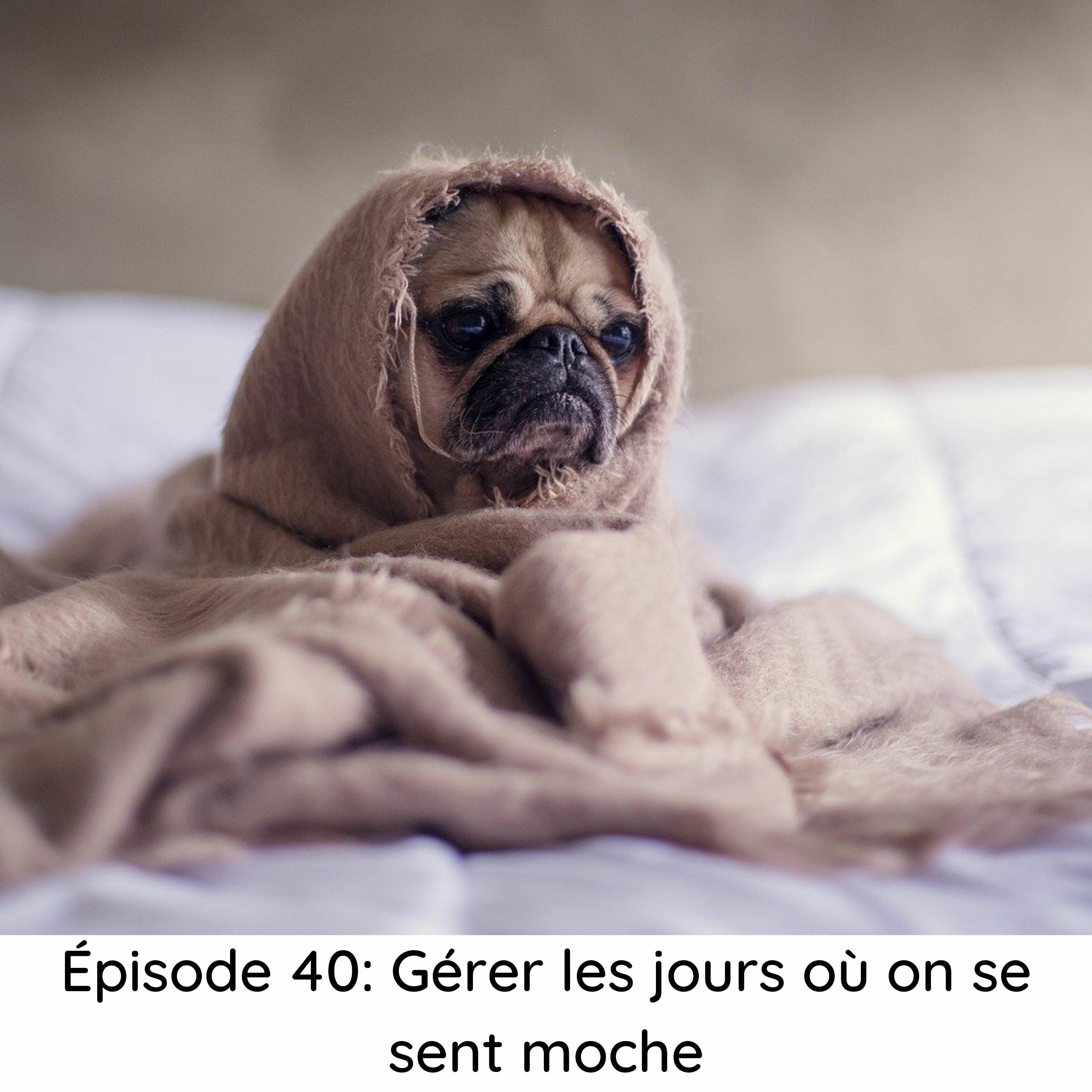 Je fais la paix