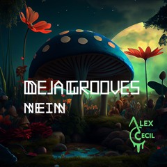 Deja Grooves - Alex Cecil [Nein Records]