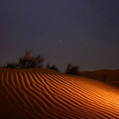 injury reserve - postpostpartum (slowed + reverb)