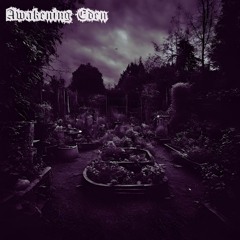 Shawdow