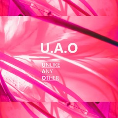 U.A.O. Instrumentals - Dreamcatcher (Produced By Unlike Any Other Records)