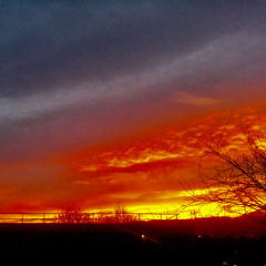 Into The Mystic (Van Morrison cover)