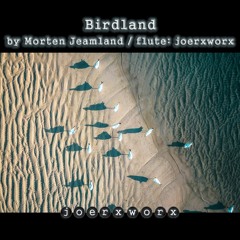 Birdland / by Morten Jeamland / flute: joerxworx