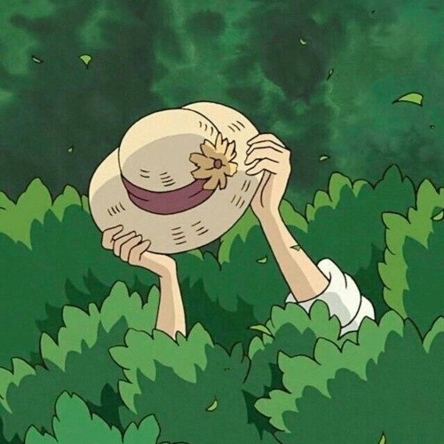 No Choice – ما لهن خيار