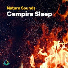 Campfire Sounds For Sleep | Crickets Sounds For Sleep 🔥💤 Deep Relaxation
